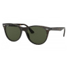 Ray-ban RB2185 Wayfarer Ii 902/31 Veľ. 55