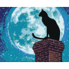 Maľovanie podľa čísel - Mačka na komíne za splnu, 40 x 50 cm, bez rámu a napnutého plátna 8596530059646