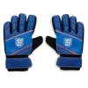 Team Fuse GK Tottenham Hotspur Goalkeeper Gloves England Junior