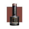 OCHO NAILS Hybridný lak na nechty Autumn A05 5g