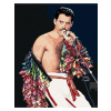 Diamantové maľovanie - FREDDIE MERCURY Rámovanie: bez rámu a bez vypnutia plátna, Rozmer: 40x50 cm
