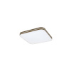 Rabalux 71178 OSCAR2 stropné svietidlo LED 18W
