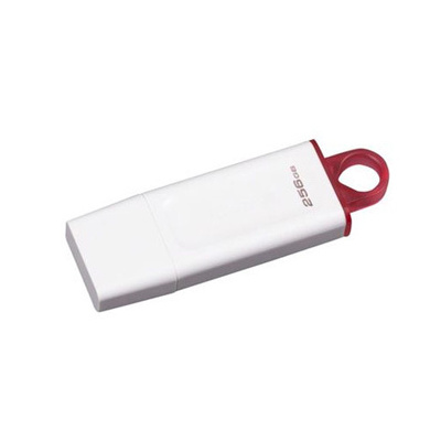 Kingston USB flash disk KC-U2G256-5R DataTraveler Exodia 256GB