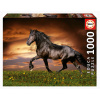 Puzzle Trotting Horse Educa 1000 dielov a Fix lepidlo
