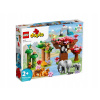 LEGO Duplo 10974 Divoké zvieratá Ázie
