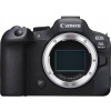 CANON EOS R6 MARK II BODY -