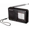 ROADSTAR TRA-2989