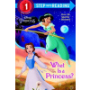 What is a Princess? (Jennifer Liberts,Atelier Philippe Harchy)(Brožovaná)