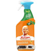 MR. PROPER Kitchen Mandarin čistiaci Sprej 750 ml