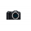 Canon EOS R8 + RF24-105 F4-7.1 IS STM EU26 - SELEKCE SIP 5803C095