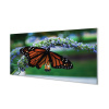 Nástenný panel Motýľ na kvetine 100x50 cm