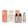 Panier des Sens Rose Géranium krém na ruky 30 ml + SG 70 ml + BL 70 ml + kozmetická taška (woman)
