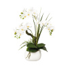 neuvedené Umelá orchidea phalaenopsis v keramickom kvetináči 46 cm biela Real Touch