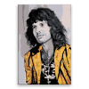 Maľovanie podľa čísel - Freddie Mercury 04 - 40x60 cm, bez dřevěného rámu - výroba CZ