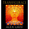 Transfigurace - Alex Grey