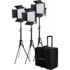 Nanlite 3 light kit 600DSA Case and Light Stand (117097)