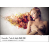 FOMEI A2+ (43,2 x 63,5 cm)/20 FomeiJet Portrait Matt DUO 230 (EY5195)