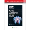 BRS Gross Anatomy (Halliday,Dr. Nancy L.,PhD,Chung,Dr. Harold M.,MD)()