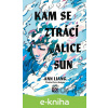 E-kniha Kam se ztrácí Alice Sun - Ann Liang