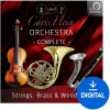 Best Service Chris Hein Orchestra Complete (Digitálny produkt)
