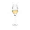 Pohár na sekt Ballet 310ml (4KS) (2879)
