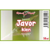 Javor klen - tinktura z pupenů (gemmoterapie) 50 ml - doplněk stravy