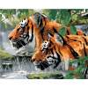 Maľovanie podľa čísel – Striehnuce tigre pri rieke (Howard Robinson), 40 × 50 cm, napnuté plátno na rám 8596530062219