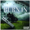 STS DIGITAL BURN IN