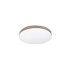 Rabalux 71173 OSCAR2 stropné svietidlo LED 18W