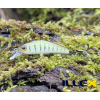 Wobler ILLEX Chubby Minnow 35 SP - Vairon