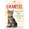 Charlie Mačiatko, ktoré zachránilo život - Sheila Norton