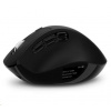 CONNECT IT FOR HEALTH DualMode bezdrátová ergonomická myš s LCD displejem, černá CMO-4400-BK