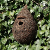 Vtáčia búdka Brushwood otvor 3 cm