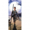 Dverová fototapeta - FT4090 - Star Wars Prebudenie Mocy 91cm x 211cm - Vliesová fototapeta