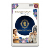 Asmodee CZ (Blackfire) Milostný dopis: Bridgertonovi