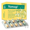 Yomogi cps.dur.20 x 250 mg