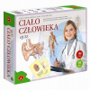 Arkádová hra Telo človeka Kvíz Alexander