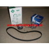 Audi A3 9/00-5/03 komplet rozvody Sada 1,6i / 75kw / INA /