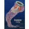 Creatures of the Deep