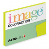 Rio Coloraction A4 80 g/m2 100 listů