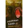 Poznaný ďábel... - Mike Carey