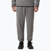 Pánske nohavice The North Face Glacier Fleece mid graather heather