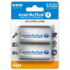 everActive silver line D 5500 mAh 2ks EVHRL20-5500
