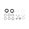 Rock Shox AM SVC KIT 200H/1YR 30 S/G A1