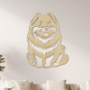 dřevo života Drevený obraz psa Pomeranian Rozmery - cm: 45x60, Zvoľte farbu dekoru: Javor