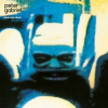 Gabriel Peter - 4 / Vinyl / 2LP / Deutsches Album [2 LP]