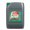 Motorový olej 5W-40 Castrol Magnatec C3 - 20L