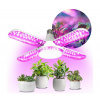 Kobi | LED Žiarovka na rast rastlín PLANTY E27/40W/230V 1200K | KB0431
