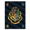 Jerry Fabrics DETSKÁ FLEECOVÁ DEKA HARRY POTTER 100X140 CM VZOROVANÁ