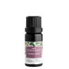 Nobilis Tilia – Zmes éterických olejov Dotyk jari 10 ml